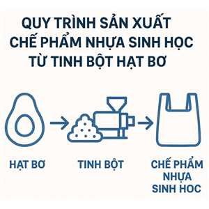 QUY TRÌNH SẢN XUẤT CHẾ PHẨM NHỰA SINH HỌC TỪ TINH BỘT HẠT BƠ