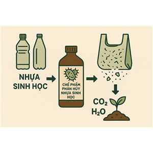 Chế phẩm phân hủy nhựa sinh học